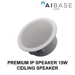 AUDIO-IP-S01-C15W